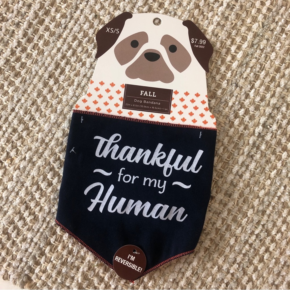 Adorable Reversible Fall Themed Dog Bandanna - NEW WITH TAG